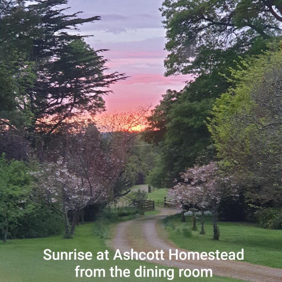 Ashcott Homestead Bed & Breakfast Takapau Bagian luar foto