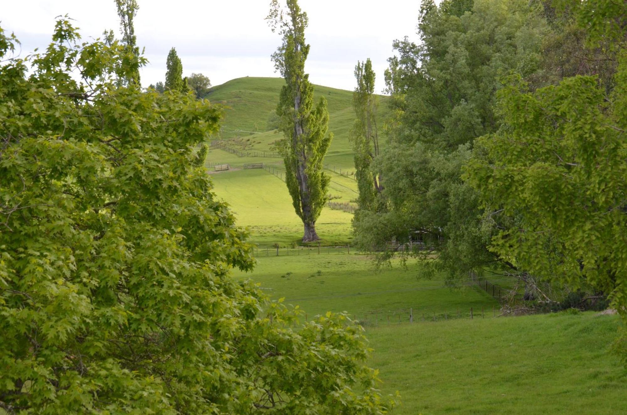 Ashcott Homestead Bed & Breakfast Takapau Bagian luar foto